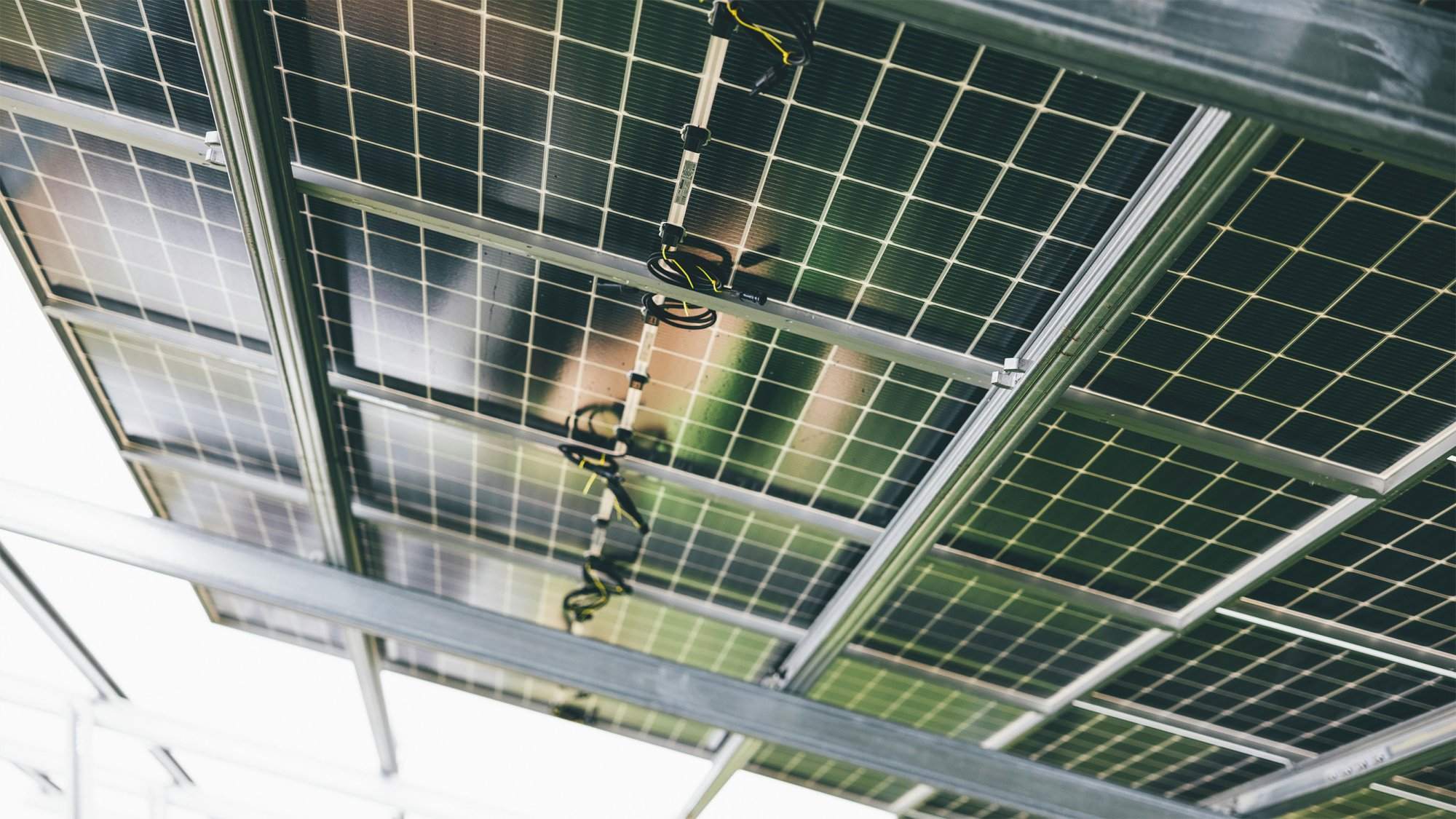 Bifaziale PV-Module: Alle Fragen beantwortet 1 luxeen blog bifaziale photvoltaik module